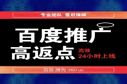 专业SEM服务公司案例分析报告